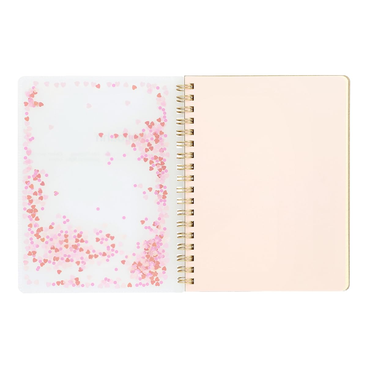 Amazon.co.jp: [デルフォニックス]ロルバーンポケット付メモ