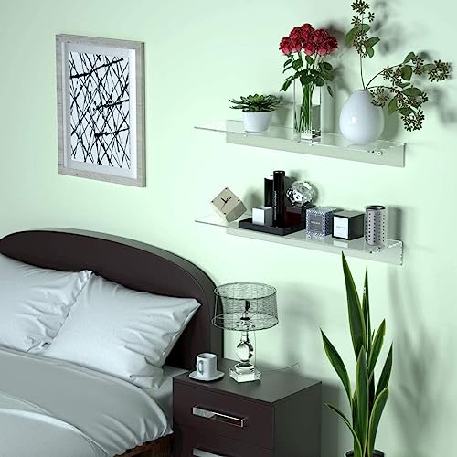 Femeli Acrylic Floating Shelves 12-24 Inch, 2 Pcs Clear Shelves For Plant Photo In Bedroom Living Room Office, Acrylic Shelves For Wall (24 Inch) #TOP5