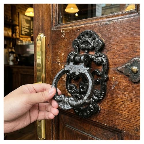 Aldaba de puerta con mango de anillo para fachadas comerciales 5