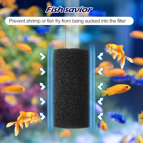 Image of 12Pack Pre-filter Sponge for Aquarium Sponge Filter Aquarium Foam Rolls Shrimp Fry Fish Tank Filters 0.8 inch Intake Replacement Filters Sponges for Small Fish Shrimp Fry Fishes Tank Covers Accessories