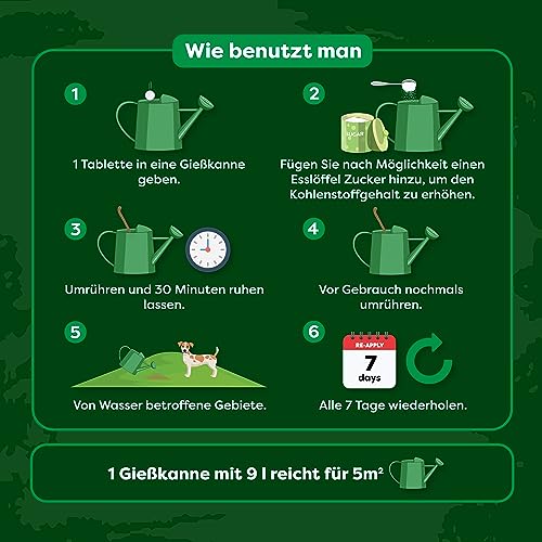 Envii Neuturine - Enzymreiniger Hundeurin Rasenreparaturmischung - Repariert & Neutralisieren durch Hundeurin geschädigten Rasen - 60m2