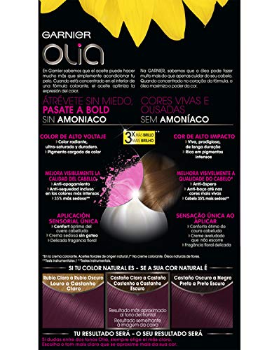 Garnier Tintura per Capelli, 200 gr, 3.16 Violin