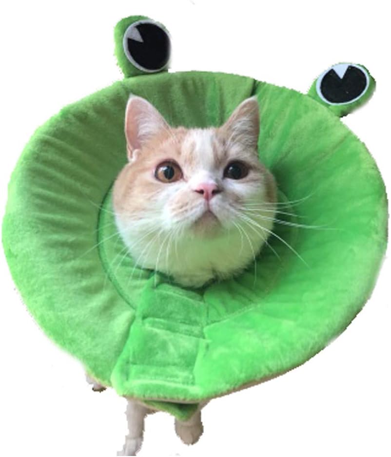 Bello Luna Soft Cone Recovery E-Collar for Dogs and Cats with Frog Shape (Size L)
