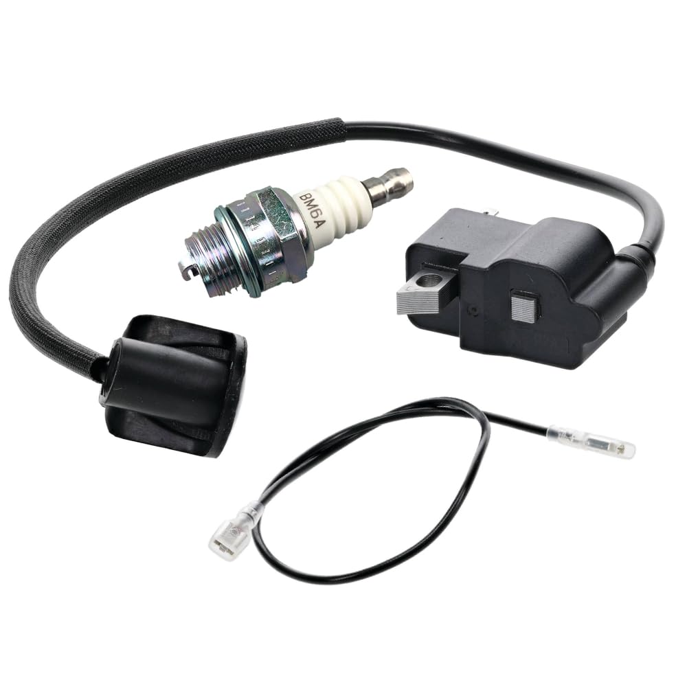 Amazon.com: Husmax 41344001301 Ignition Module 4134-400-1301 4134