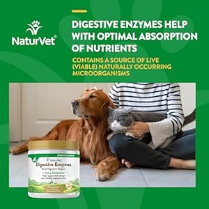   NaturVet--Digestive-Enzymes-for-Dogs-Plus-Probiotics-Prebiotics-Helps-Support-Diet-Change-A-Healthy-Digestive-Tract-for-Dogs-Cats-4-oz-Powder