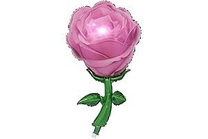 Rose Pink Foil Balloons