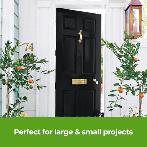 THE ONE All-In-One Paint & Primer - Black Matte, 33.8 Fl Oz/1 Liter | 1 Coat Formula | Easy Indoor & Outdoor Decorating for Home & Garden Walls, Floors & Furniture | Water-Based & Low VOC