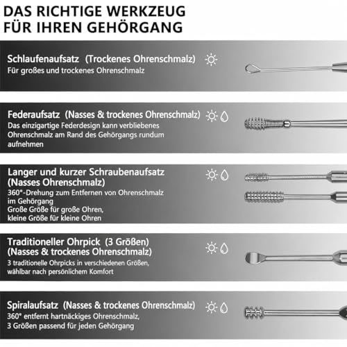 Hion Ohrenreiniger, Ohrenschmalz Entferner 6 in1 Edelstahl Ohrreiniger mit Aufbewahrungsbox, Geeignet für Kinder, Jugendliche und Erwachsene(Silber)
