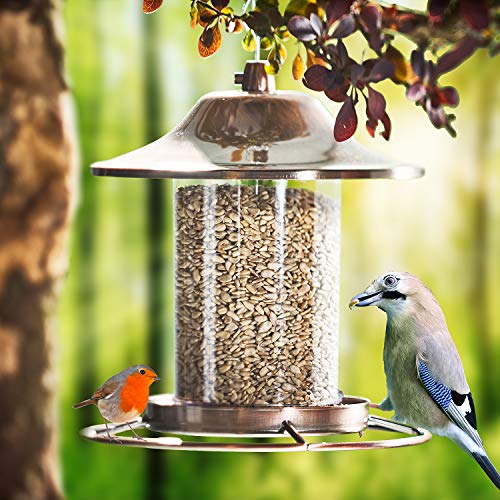 Paul´s Mühle Sonnenblumenkerne geschält für Vögel 5 kg Neue Ernte 2025