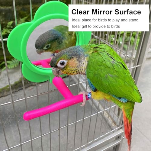 Image of Bird Mirror Perch Toy, Colorful Interactive Standing Swing Exercise Toy for Bird Cage Acrylic Plastic 4.7 Inch Mirror 4.7 Inch Perch 1 Piece