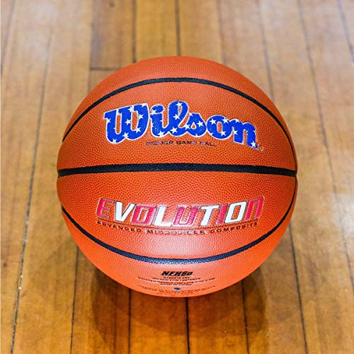 Image of Wilson Evolution Basketballs