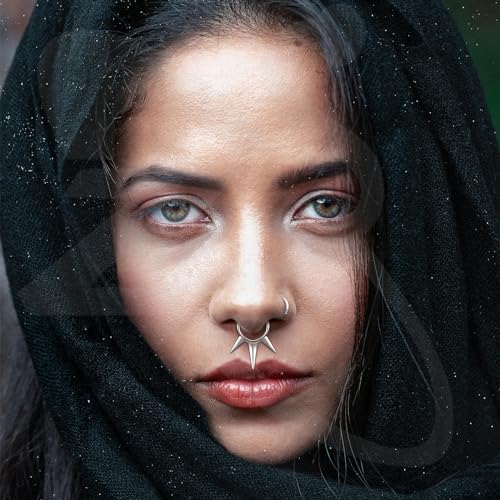 ZS 1PC Fake Septum Nose Ring Hoop, Non Pierced Nose Cuffs Faux Clicker Hanger, Nose Septum Ring Clip On Body Piercing Jewelry for Men Women2