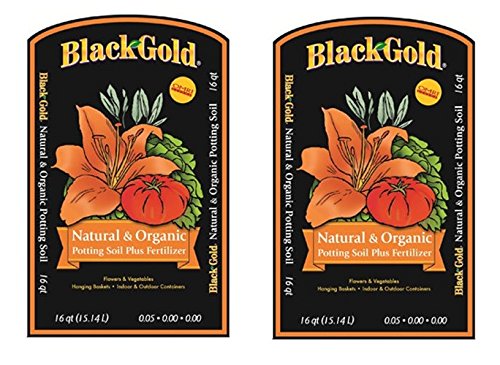 Black Gold Organic Outdoor Potting Soil