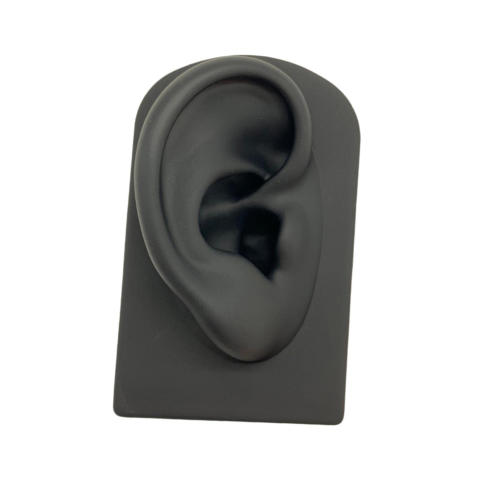 Modèle D'oreille En Silicone Pour Exposition Et Apprentissage - Support Inclus - Idéal Pour Piercing, Bijoux, écouteurs