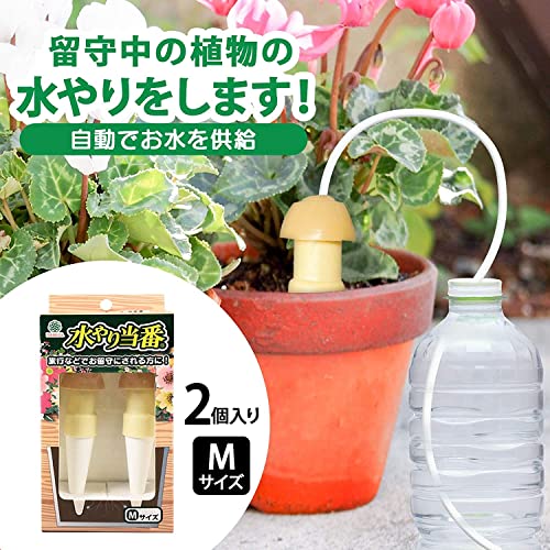 マルハチ産業(Maruhachisangyou) 水やり当番 M (2個入) 104031 ベージュ