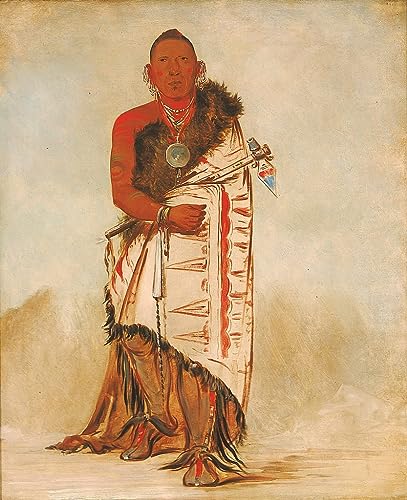 Peinture murale Brave Chief de George Catlin pour créer un salon chaleureux