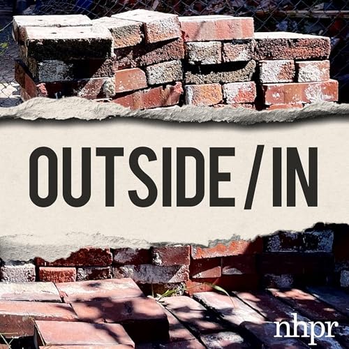 The Brick Lady of St. Louis cover art