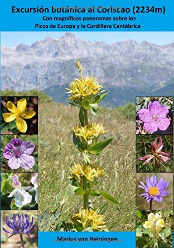 Excursión botánica al Coriscao (2234m): Con magníficos panoramas sobre los Picos de Europa y la Cordillera Cantábrica (Flores silvestres del norte de España nº 1) (Spanish Edition)