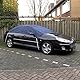 CARPOINT 1723281 Fahrzeugabdeckung 248cm 160cm 33cm Polyester
