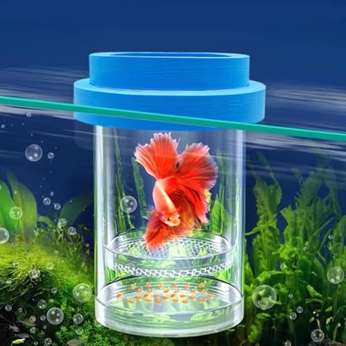 Hitasi ���� �u���P�[�X �Y���P�[�X ���V�� �ɐB�{�b�N�X ���� ����{�b�N�X ���_�J �u���l�b�g ���@�\�����كA�N�Z�T���[ �t���ی� �g���₷�� ���� �Y�� �z�� �u���ȂǂɓK�� (�u���[, L)