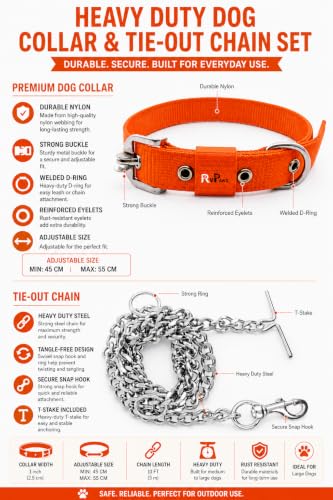 Image of RvPaws Belt Combo - Nylon Collar with 63-Inch Heavy Chain | Adjustable Pet Collar and Leash Set for Medium & Large Dogs (Orange, 1.25 Inch)