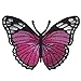 Freak Scene Patch - Papillon - Magenta-Blanc-Noir -