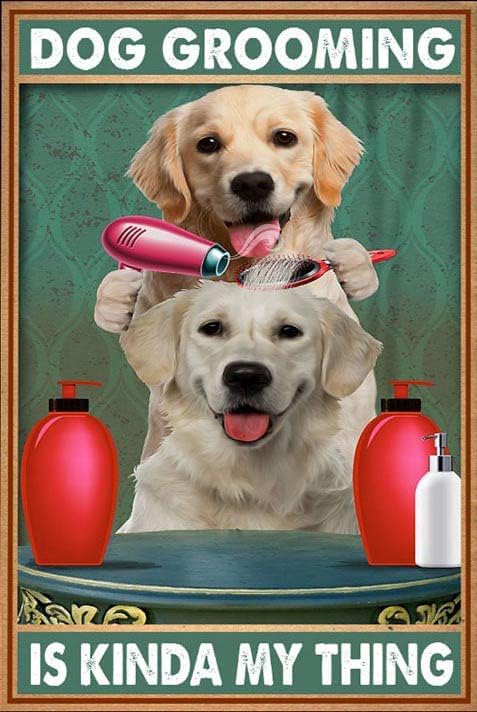 Bioprocess Dog Groomer Decor - Dog Lovers Gift Metal Sign Poster 8x12 Inches, Metalpostera36