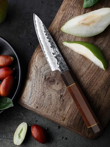 Image of HOSHANHO Paring Knife 3.75 Inch Peeling knife, Razor Sharp Japanese High Carbon Steel Small Kitchen Knife, Hand Forged Fruit Knives for Peeling & Coring with Ergonomic Handle