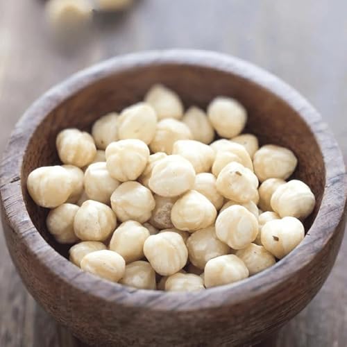 Y w[[ibc  ނg w[[ibc gw[[ibc gRY ibc (200)