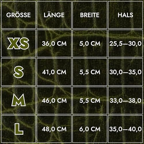 FAVPET Luxus Echtleder Windhund Halsband Breit mit QR Code Anhänger, Weiches Lederhalsband Hund Breit Whippet Italienisches Windspiel Saluki Lurcher Spanischer Galgo Greyhound Podenco (Grün, S)