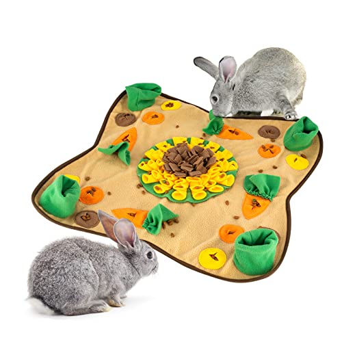 Blueberry the Bunny's Amazon Page