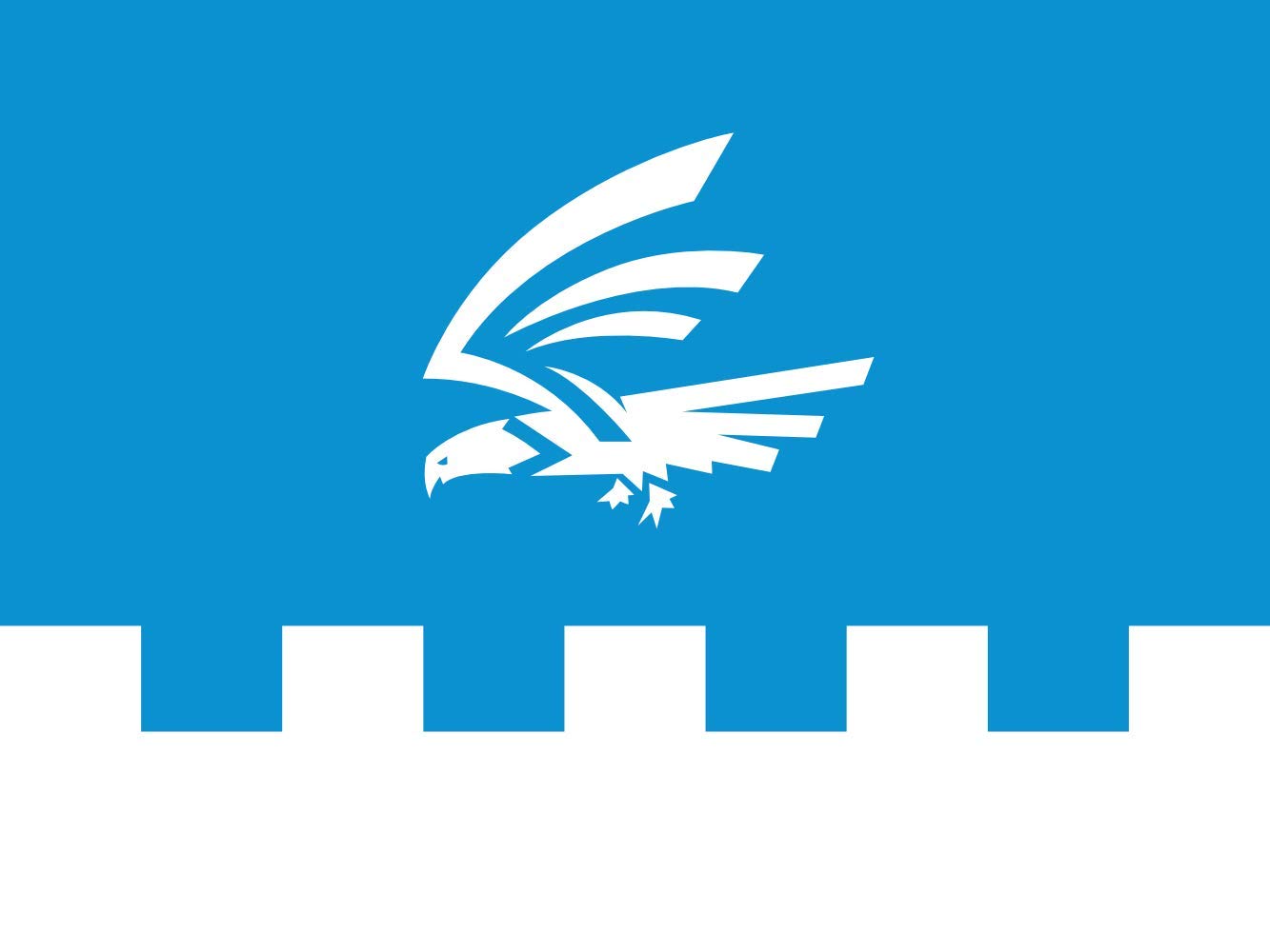 Drapeau Lääneranna valla lipp grand format pour célébration et mairie