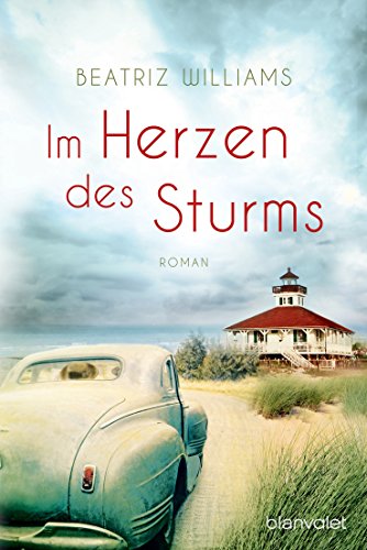 Im Herzen des Sturms: Roman...