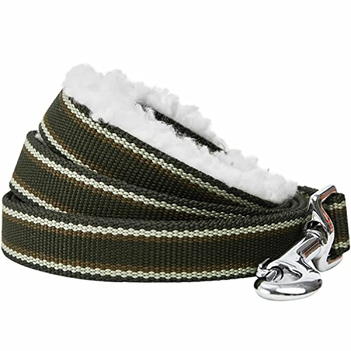 Laisse pour chien Blueberry Pet de qualité supérieure olive M