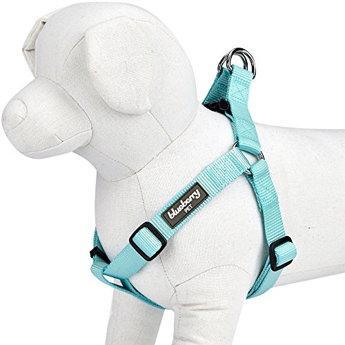 Best Harness for Exqeo