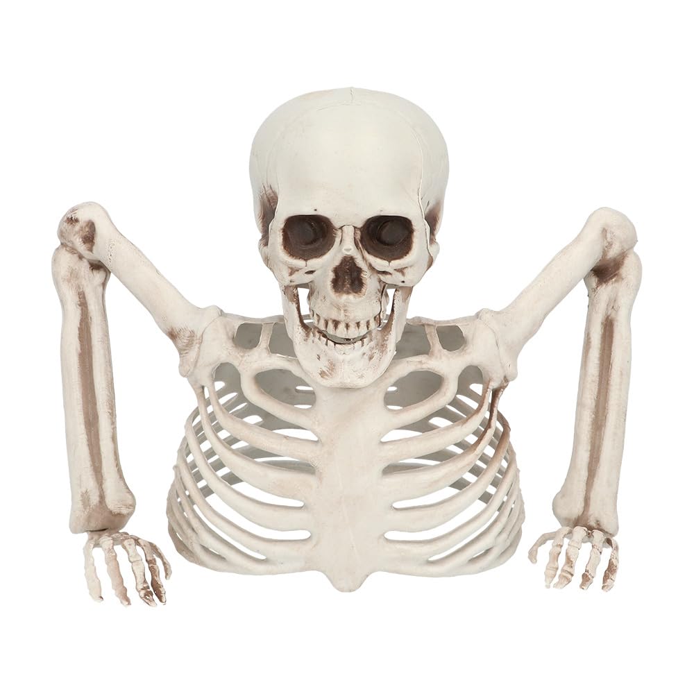 Boland 73214 Skeleton Decoration, 20 cm, Decoration for Halloween and Carnival, Party Decoration