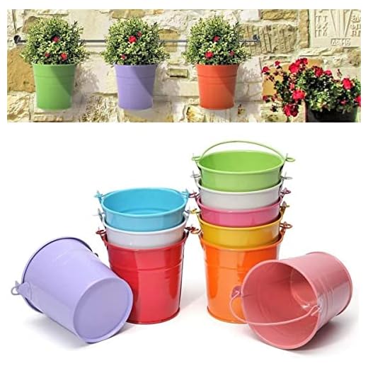 LATERN 12 Piezas Mini Macetas Colgantes de Metal, 6cm Macetas Cubo de Flores Colgantes con Mango Desmontable para Decoración del Jardín de Cerca del Balcón (12 Colores)