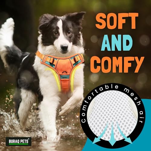 Buraq-Pets-Premium-Dog-Harness-Adjustable-Dog-Vest-Harness-Heavy-Duty-Dog-Belt-Perfect-for-Training-Walking-Running-Hiking-Comfortable-Secure-Fit-M-Orange