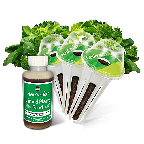 Miracle-Gro AeroGarden Kit di Baccelli di Semi Neri SImpson, Lingua di Cervo, Isola Parris (3 baccelli)