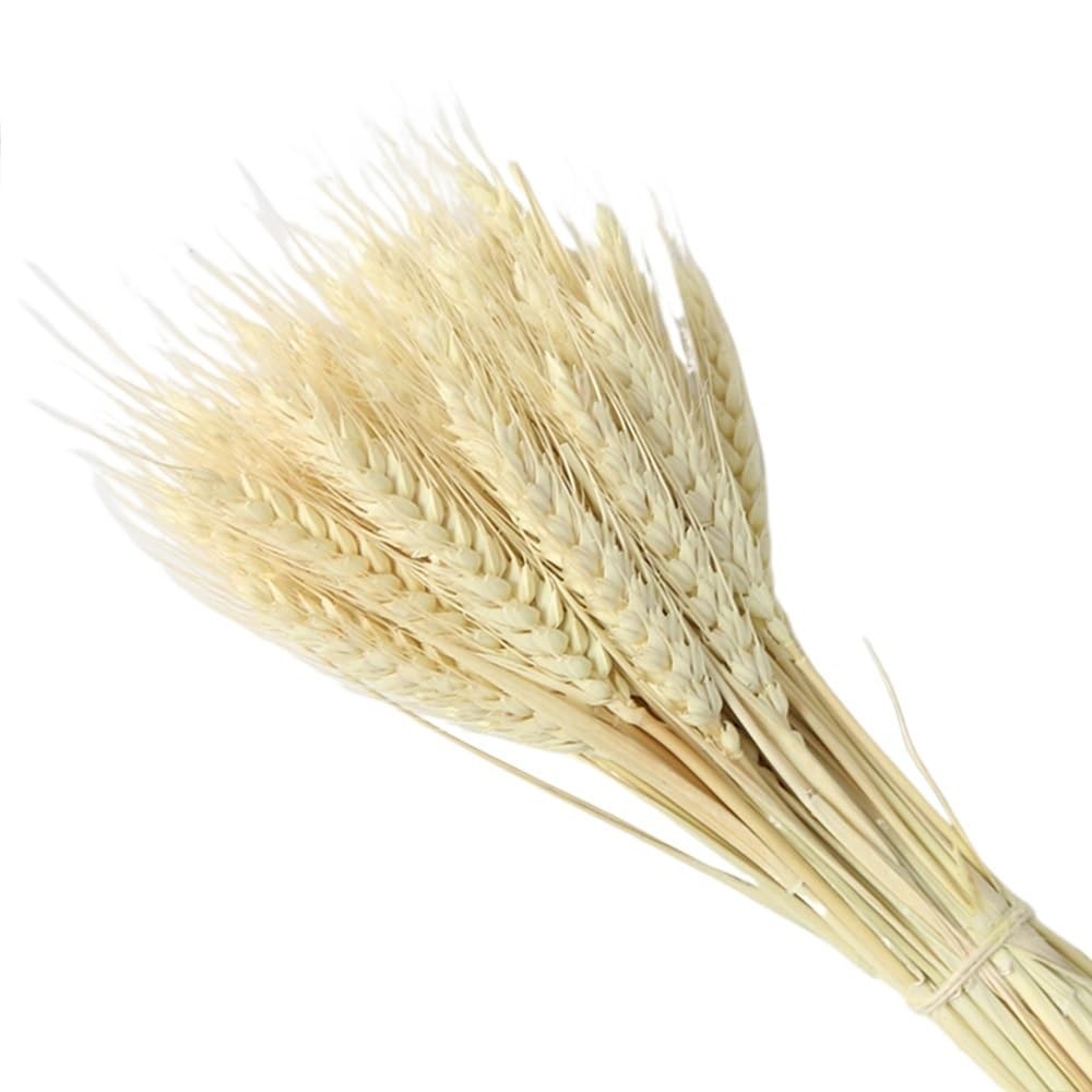 Dekoracja boho z trawy pampasowej, bukiet z suszonych ogonków królika z trawy pampasowej do wazonu, dekoracja ślubna domu(30pcs-01)