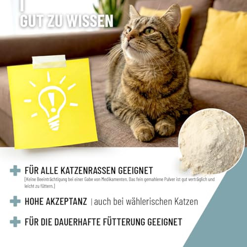 ReaVET Senior Complete Pulver für ältere Katzen – zur Unterstützung der Herzfunktion, Vitalität & Beweglichkeit I Ergänzungsfuttermittel für Seniorenkatzen – mit Taurin, Kollagen & Colostrum 50g