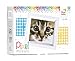 Produktbild Pracht Creatives Hobby P31179 - Pixel Mosaik Geschenkverpackung Katze, Pixelbild mit Rahmen zum Gestalten für Kinder, Jungen und Mädchen, als kleines Geschenk, Mitgebsel, für den Kindergeburtstag