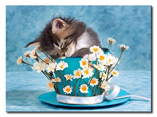 Shukqueen DIY Peinture par numéros pour adultes DIY à l'huile Kit pour enfants débutant Chat 16"x20"(40x50cm) Chat (sans cadre) Cover