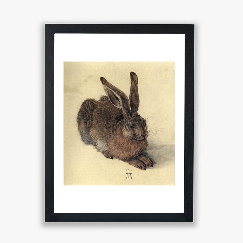 Impression encadrée Albrecht Durer Jeune lièvre giclée de prestige