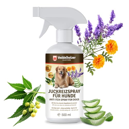 Veddelholzer 500 ml Juckreizspray für Hunde Beruhigendes Pflegespray bei Juckreiz & Hautirritationen Mit Mikro-Silber, Aloe Vera & Ringelblume, pflegend & feuchtigkeitsspendend Für alle Felltypen