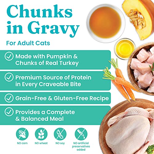 Image of Solid Gold Wet Cat Food for Adult & Senior Cats 24 Pack - Wholesome Selects Chunks in Gravy - Made with Real Turkey & Pumpkin for Healthy Digestion and Sensitive Stomach