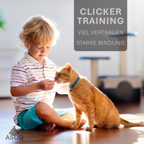 ASCO Premium Clicker, Hunde und Katzen Klicker für professionelles Clickertraining mit Stretcharmband, schwarz, ASCO-01PA