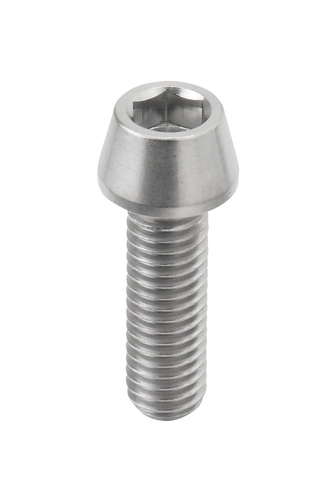 ショータ　 5枚 Amazon | ジータレーシング(ZETA RACING) チタン キャップボルト