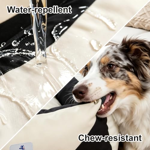 Image of Canvas Dog Bed, Cotton Dog Beds Large Sized Dog, Orthopedic Bed with Washable Removable Cover, Durable 290 GSM Cotton Anti-Chewing Pet Bed with Anti-Slip Bottom (38 inchx30 inchx12 inch, Black&White)