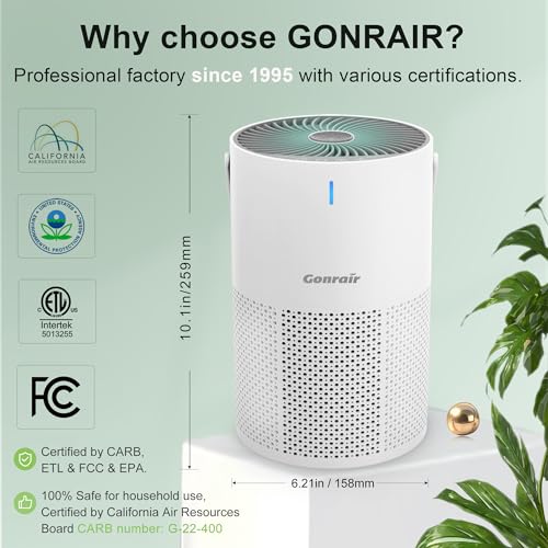 Image of Air Purifier for office home living room, bedroom, H13 True HEPA Filter (White, Air Purifier)
